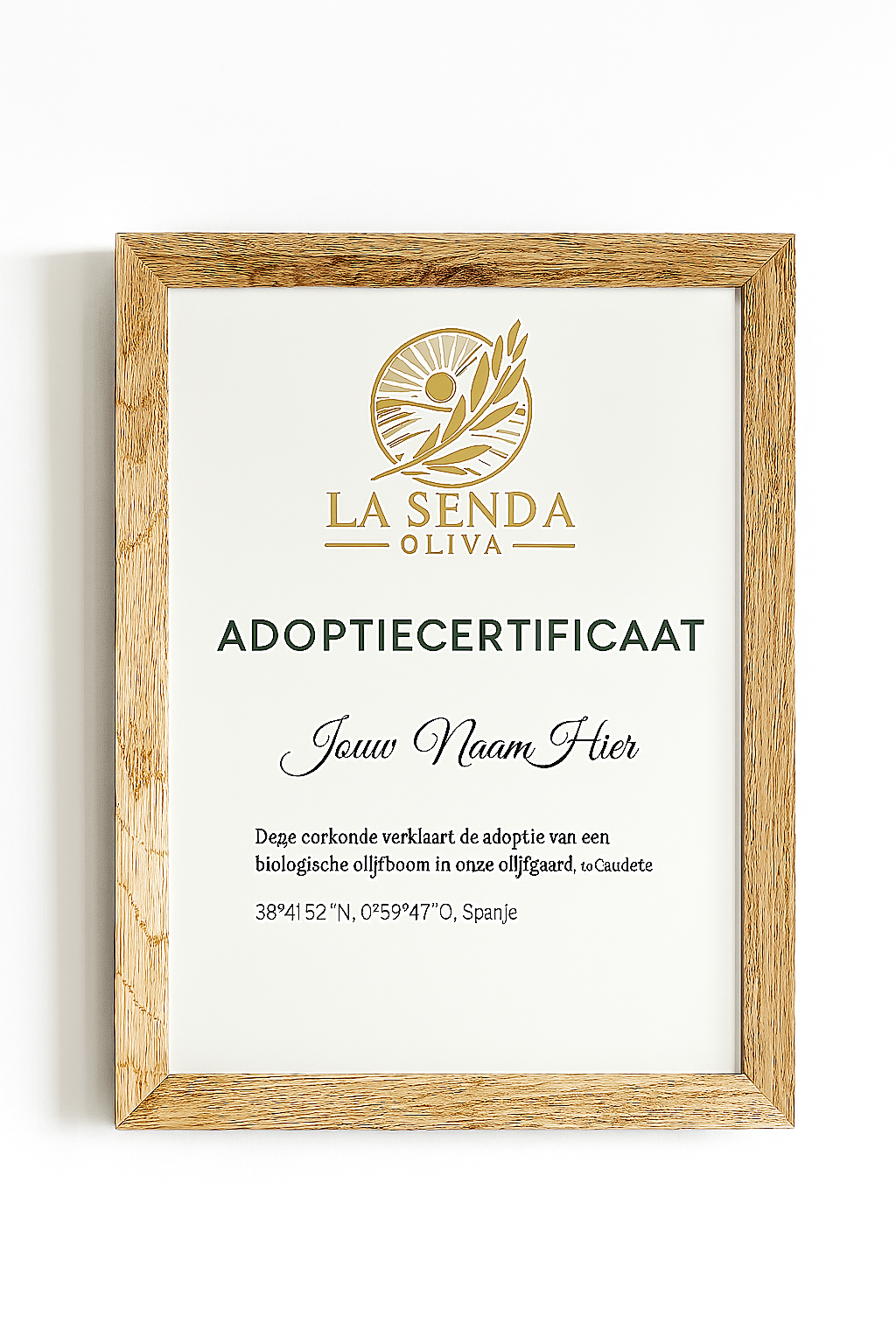 Adopteer een Olijfboom