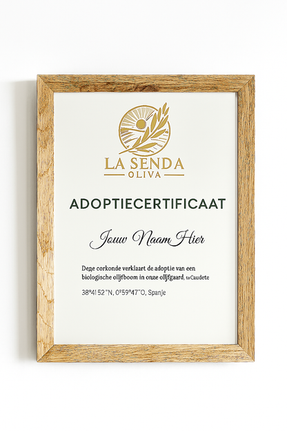 Adopteer een Olijfboom